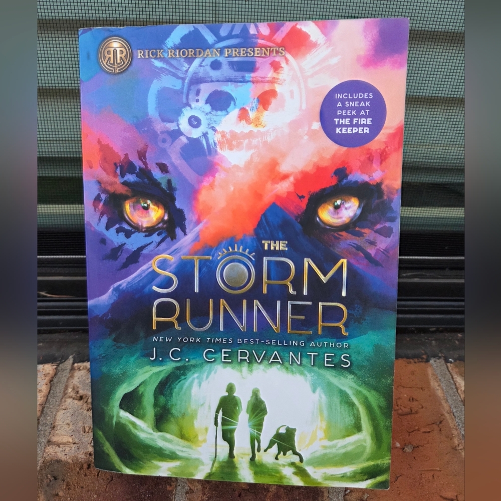 The Storm Runner by J.C. Cervantes Paperback